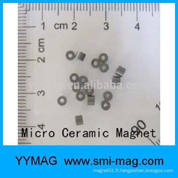 Chine micro aimant céramique